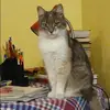 Отзыв от Наталия Баженова